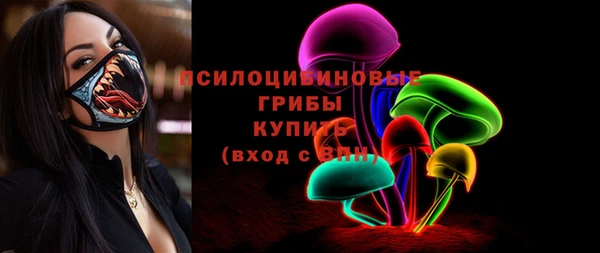 спиды Медвежьегорск