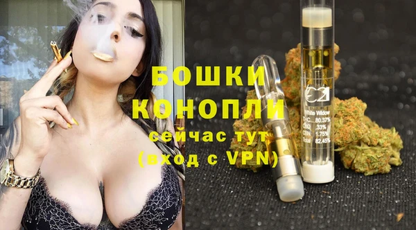 спиды Медвежьегорск