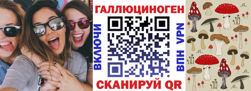Галлюциногенные грибы Cubensis Армянск