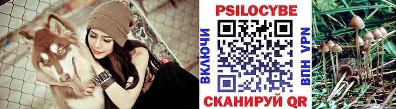 Галлюциногенные грибы прущие грибы  Армянск 